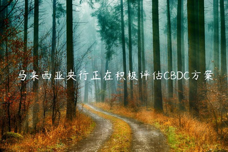 马来西亚央行正在积极评估CBDC方案-第1张图片-欧意下载