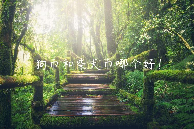狗币和柴犬币哪个好！-第1张图片-欧意下载