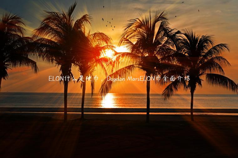 LON什么是硬币，Doglon MarsLON币全面介绍-第1张图片-欧意下载