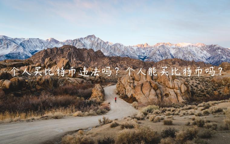 个人买比特币违法吗？个人能买比特币吗？-第1张图片-欧意下载