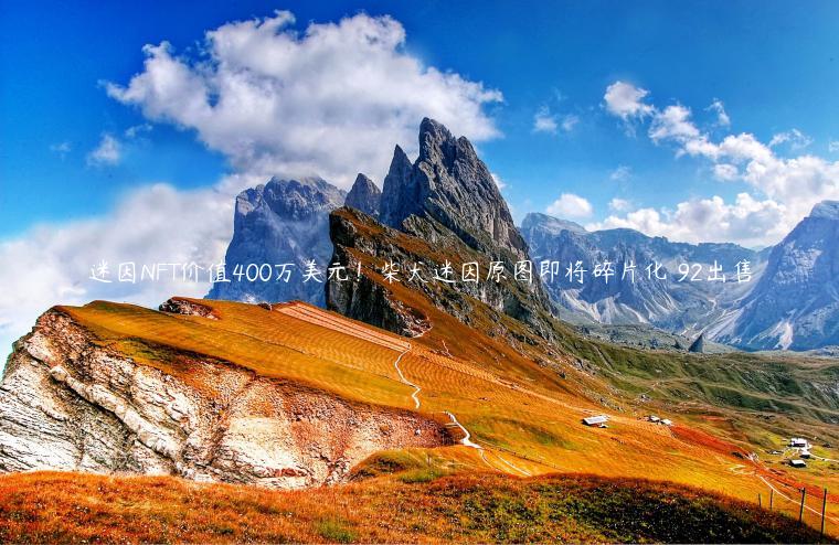 迷因NFT价值400万美元！柴犬迷因原图即将碎片化 92出售-第1张图片-欧意下载
