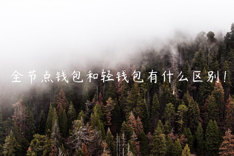 全节点钱包和轻钱包有什么区别！-第1张图片-欧意下载