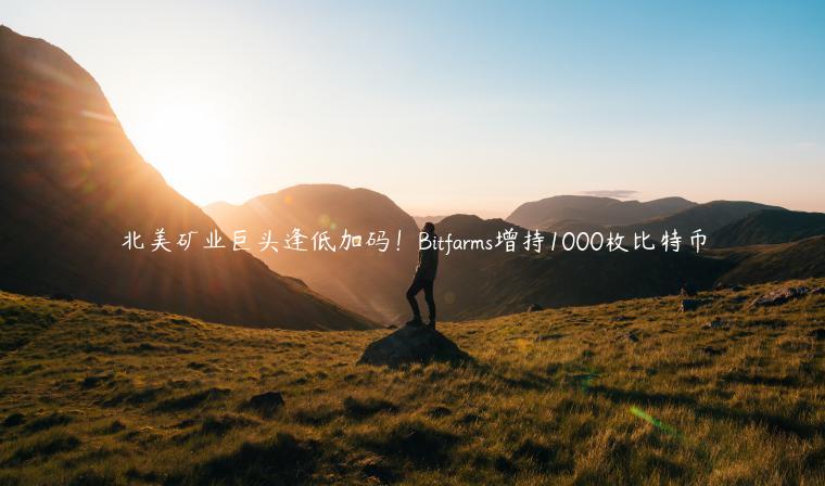 北美矿业巨头逢低加码！Bitfarms增持1000枚比特币-第1张图片-欧意下载