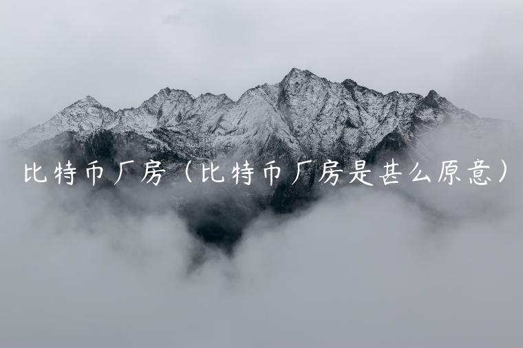 比特币厂房（比特币厂房是甚么原意）-第1张图片-欧意下载