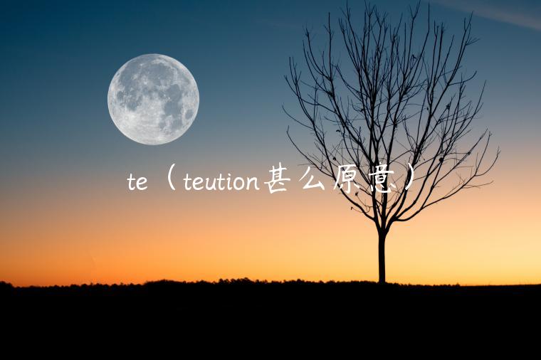 t（tution甚么原意）-第1张图片-欧意下载