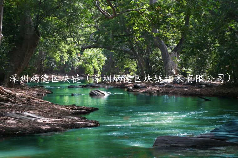 深圳炳德区块链（深圳炳德区块链技术有限公司）-第1张图片-欧意下载