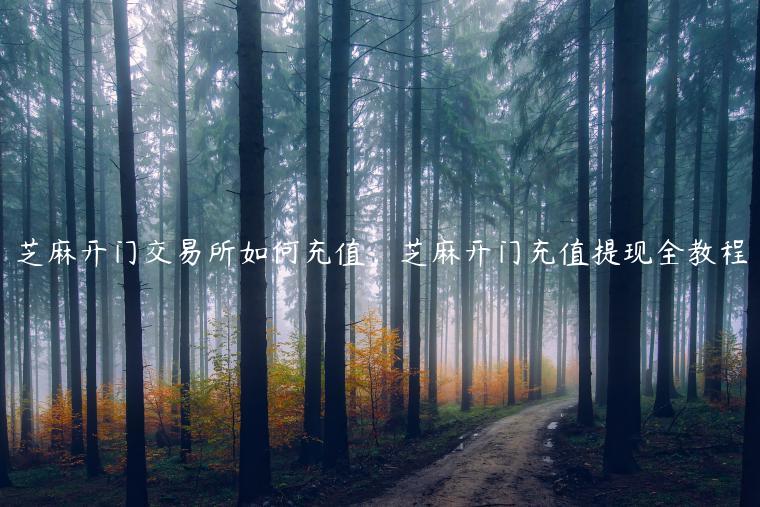 芝麻开门交易所如何充值，芝麻开门充值提现全教程-第1张图片-欧意下载