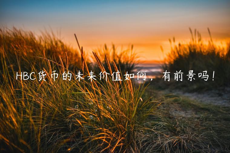 HBC货币的未来价值如何，有前景吗！-第1张图片-欧意下载