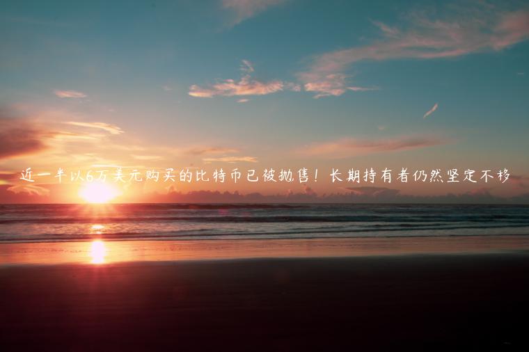 近一半以6万美元购买的比特币已被抛售！长期持有者仍然坚定不移-第1张图片-欧意下载