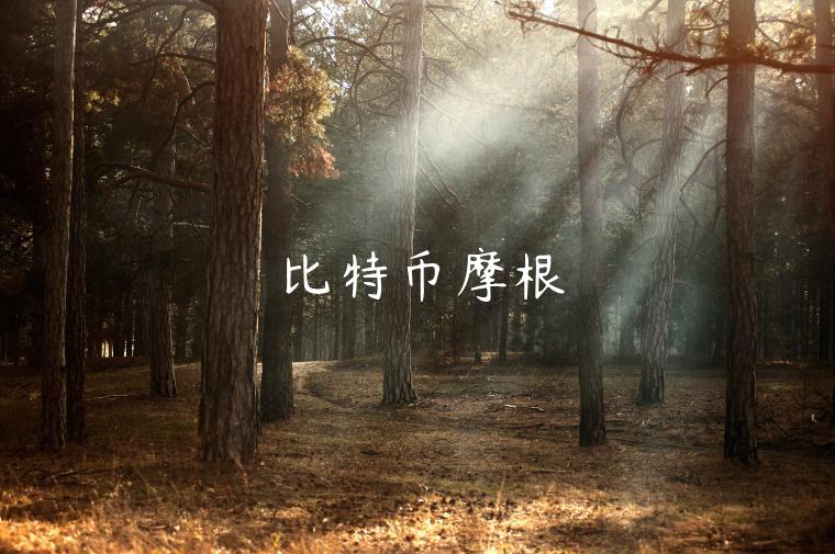 比特币摩根-第1张图片-欧意下载