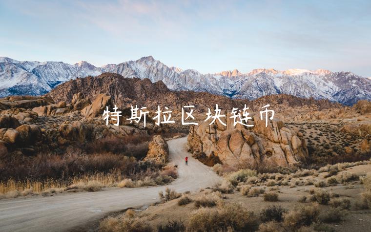 特斯拉区块链币-第1张图片-欧意下载