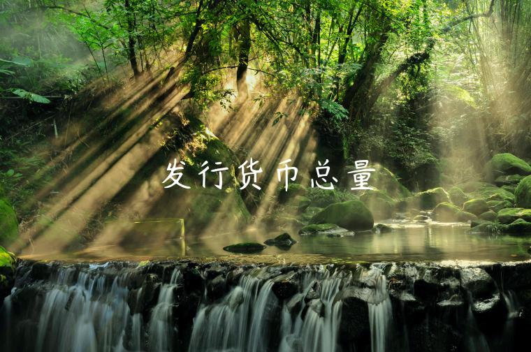 发行货币总量-第1张图片-欧意下载