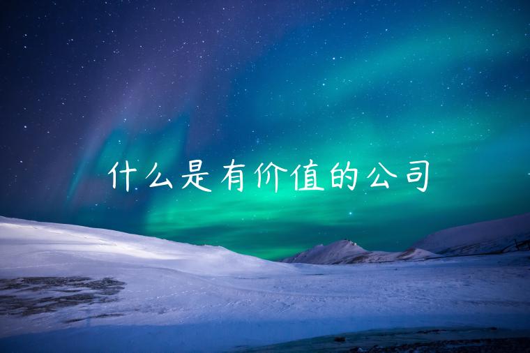 什么是有价值的公司-第1张图片-欧意下载