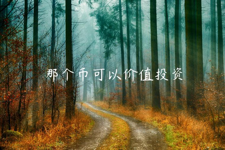 那个币可以价值投资-第1张图片-欧意下载