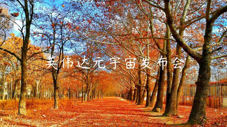 英伟达元宇宙发布会-第1张图片-欧意下载