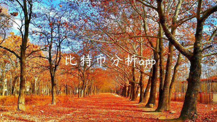 比特币分析app-第1张图片-欧意下载