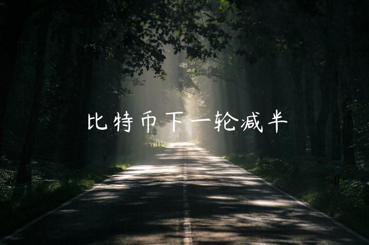 比特币下一轮减半-第1张图片-欧意下载