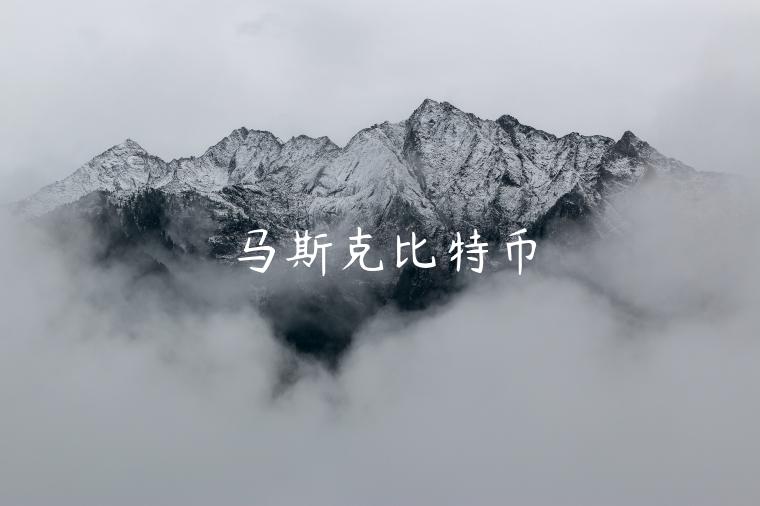 马斯克比特币-第1张图片-欧意下载