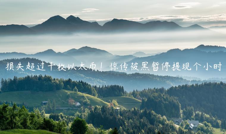 损失超过千枚以太币！惊传被黑暂停提现个小时-第1张图片-欧意下载