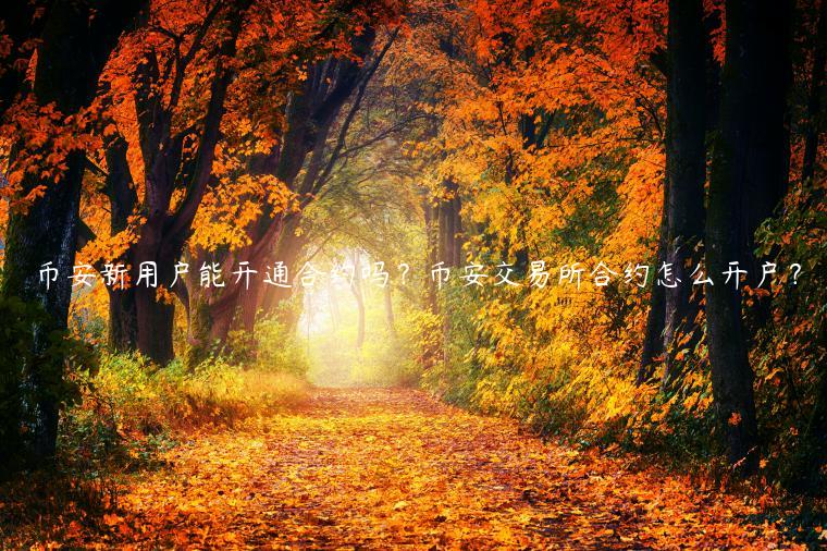 BIAN新用户能开通合约吗？BIAN 交易平台合约怎么开户？-第1张图片-欧意下载