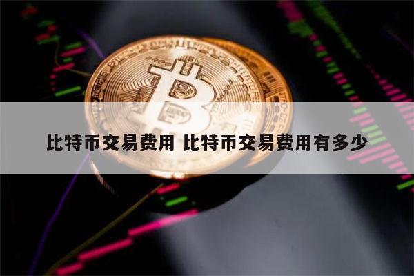 1比特币等于多少人民币2022年 买1000块钱比特币多少手续费-第1张图片-欧意下载