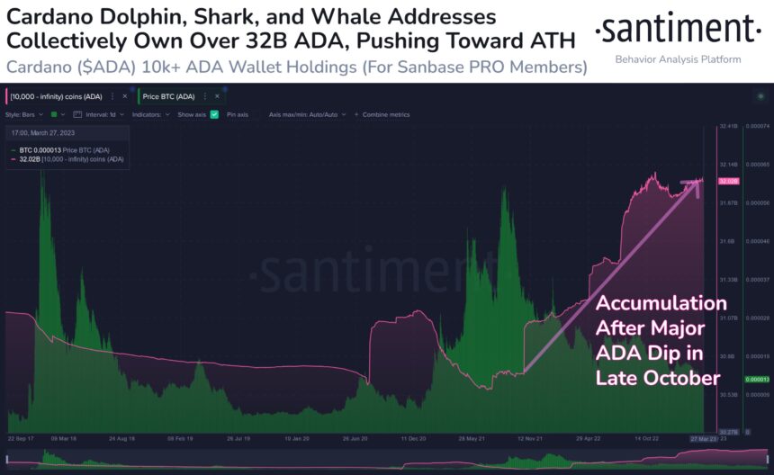 链上数据表明，随着价格上涨，Cardano 显示出显着增长