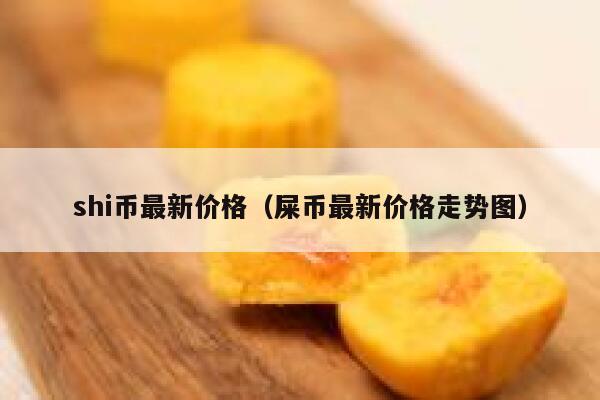 shi币最新价格（屎币最新价格走势图）-第1张图片-欧意下载