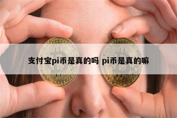 pi币是真的吗 pi币有人投资吗-第1张图片-欧意下载