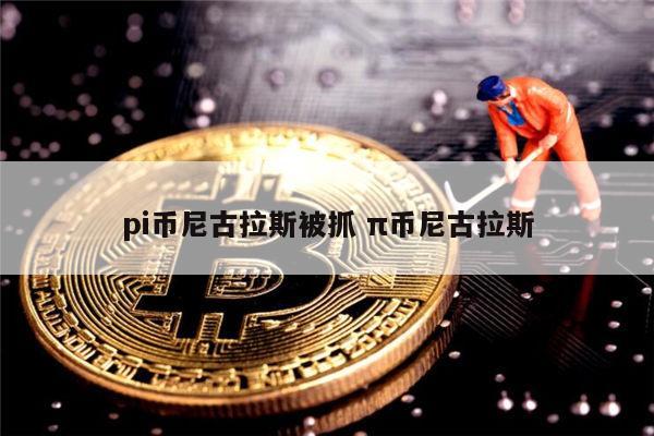 pi币尼古拉斯被抓了嘛 π币是否合法-第1张图片-欧意下载