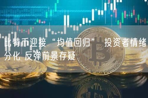比特币迎接“均值回归” 投资者情绪分化 反弹前景存疑-第1张图片-欧意下载