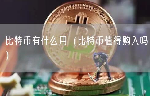 比特币有什么用（比特币值得购入吗）-第1张图片-欧意下载
