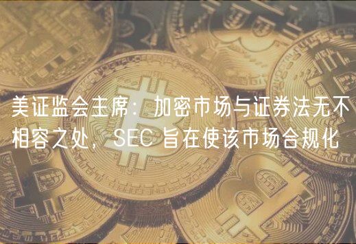 美证监会主席：加密市场与证券法无不相容之处，SC 旨在使该市场合规化