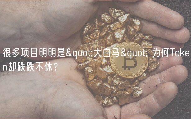很多项目明明是&quot;大白马&quot; 为何Token却跌跌不休？-第1张图片-欧意下载