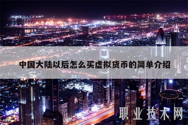 中国大陆以后怎么买虚拟货币的简单介绍-第1张图片-欧意下载
