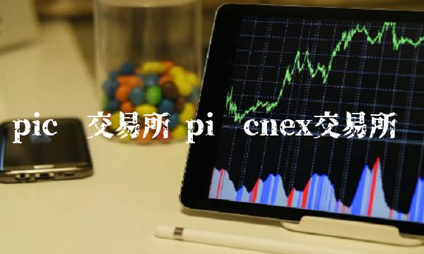 pic币交易所 pi币cnex交易所-第1张图片-欧意下载