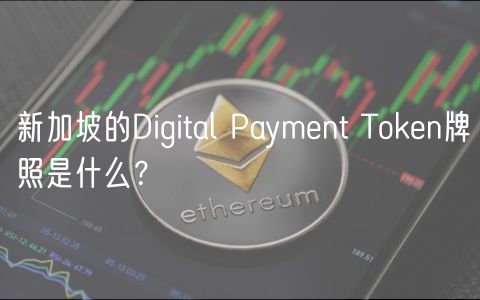 新加坡的Digital Payment Token牌照是什么？-第1张图片-欧意下载