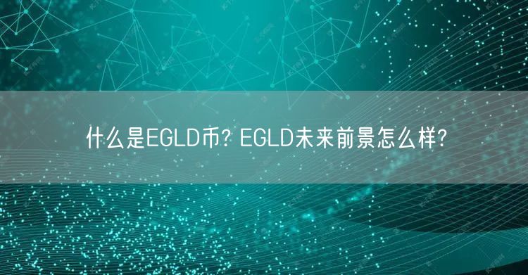 什么是EGLD币? EGLD未来前景怎么样?-第1张图片-欧意下载
