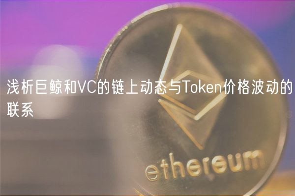 浅析巨鲸和VC的链上动态与Thuobin价格波动的联系
