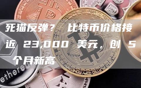 死猫反弹？ 比特币价格接近 23,000 美元，创 5 个月新高-第1张图片-欧意下载