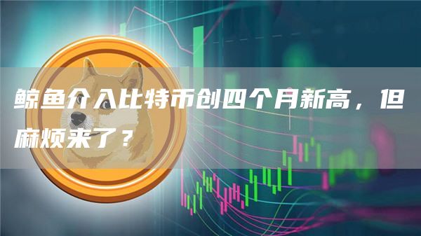 鲸鱼介入比特币创四个月新高，但麻烦来了？-第1张图片-欧意下载