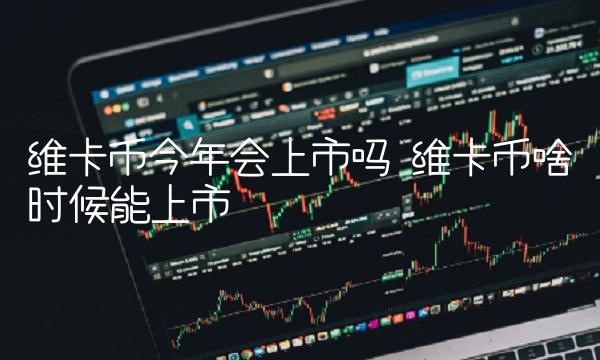 维卡币今年会上市吗-第1张图片-欧意下载