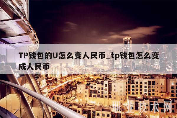 TP钱包的U怎么变人民币_tp钱包怎么变成人民币-第1张图片-欧意下载