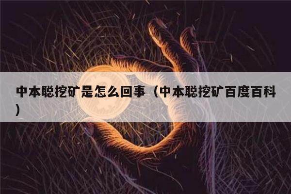 中本聪挖矿是怎么回事（中本聪挖矿百度百科）-第1张图片-欧意下载