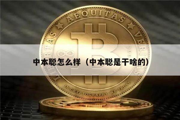 中本聪怎么样（中本聪是干啥的）-第1张图片-欧意下载