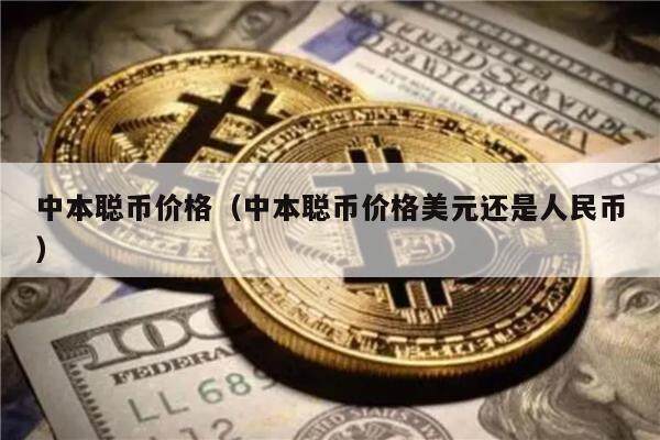中本聪币价格（中本聪币价格美元还是人民币）-第1张图片-欧意下载