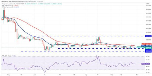 狗狗币最新价格是多少 DOGE今日最新消息-第3张图片-欧意下载