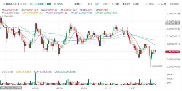SHIB最新价格是多少 屎币今日最新行情-第1张图片-欧意下载