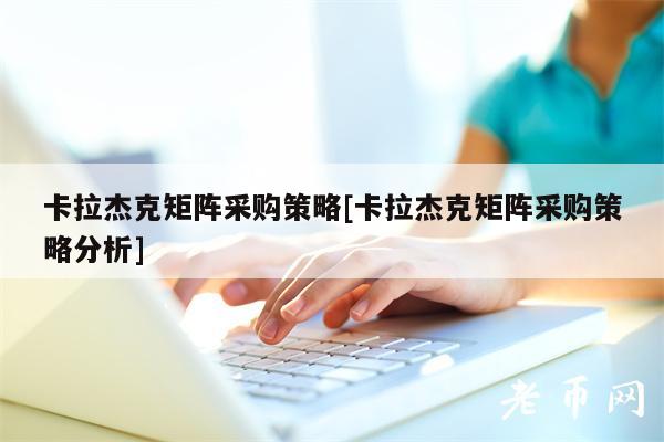卡拉杰克矩阵采购策略[卡拉杰克矩阵采购策略分析]-第1张图片-欧意下载