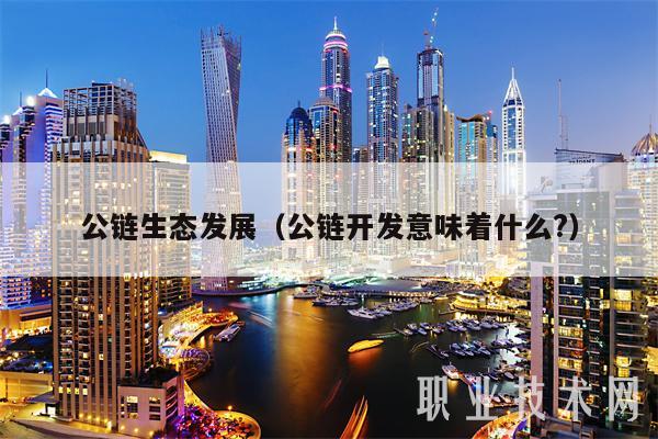 公链生态发展（公链开发意味着什么？-第1张图片-欧意下载