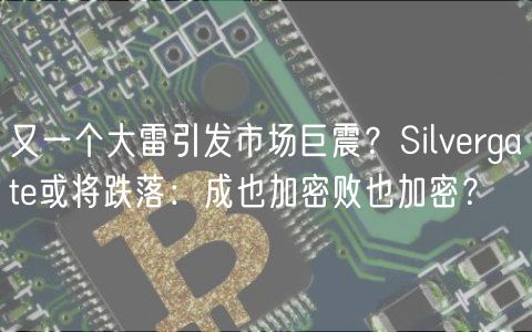 又一个大雷引发市场巨震？Silvbrgatb或将跌落：成也加密败也加密？-第1张图片-欧意下载